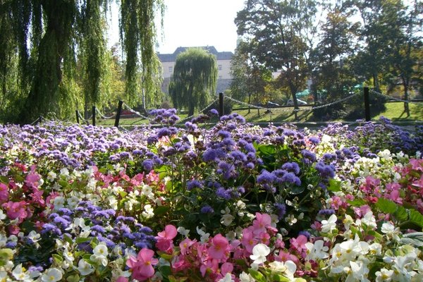 Kielecki park miejski - Fot. Edyta Ruszkowska