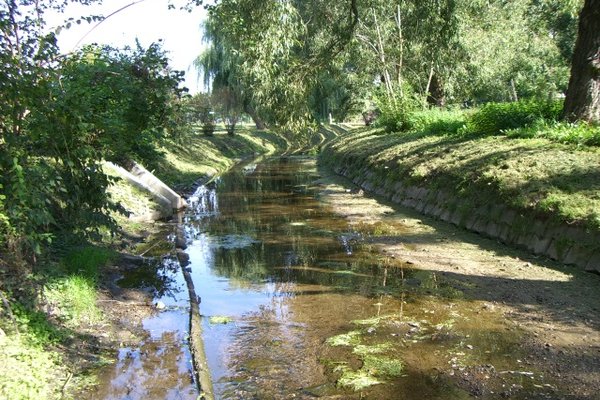 Kielecki park miejski - Fot. Edyta Ruszkowska