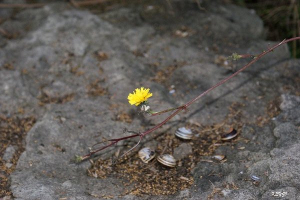 Barwy jesieni - Fot. Krzysztof Zalecki