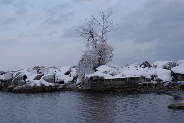 Zima - Fot. Krzysztof Zalecki