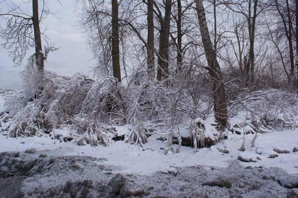 Zima - Fot. Krzysztof Zalecki