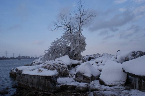 Zima - Fot. Krzysztof Zalecki