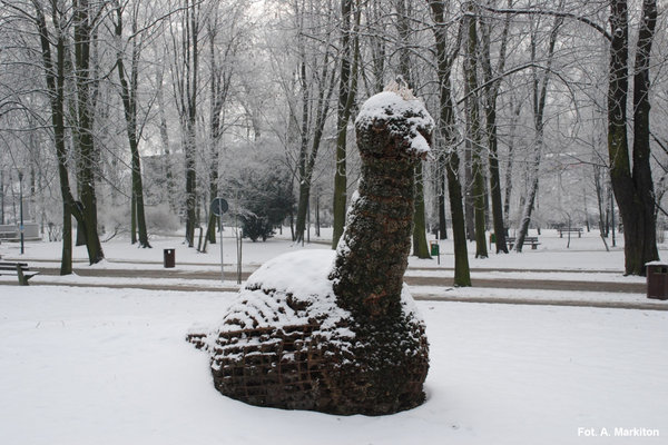 Śnieżne zauroczenie - Fot. A. Markiton