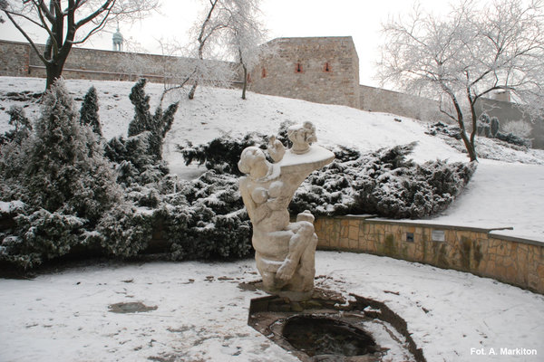 Śnieżne zauroczenie - Fot. A. Markiton