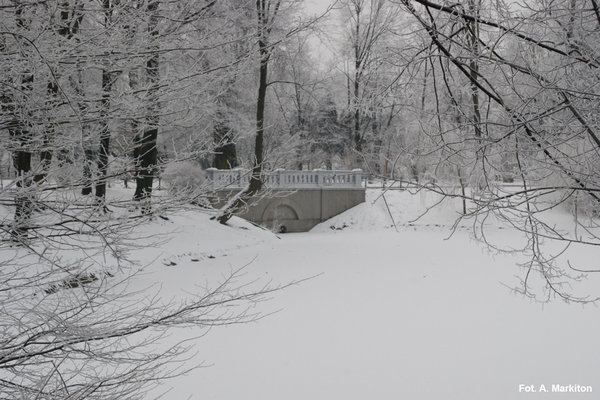 Śnieżne zauroczenie - Fot. A. Markiton