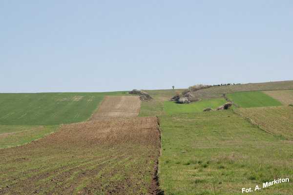 Sobków - Fot. A. Markiton