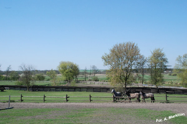 Sobków - Fot. A. Markiton