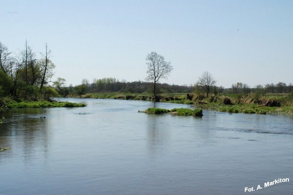 Sobków - Fot. A. Markiton