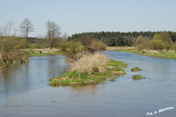 Sobków - Fot. A. Markiton