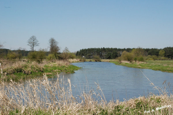 Sobków - Fot. A. Markiton