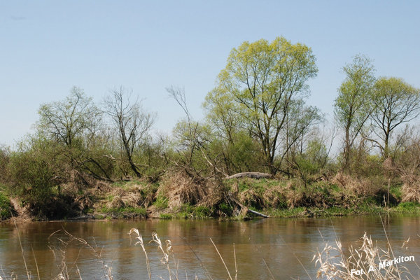 Sobków - Fot. A. Markiton