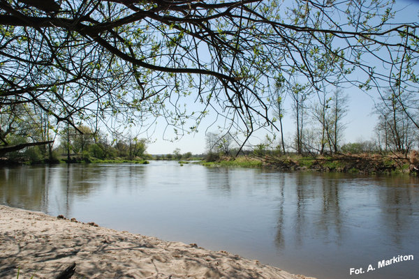 Sobków - Fot. A. Markiton