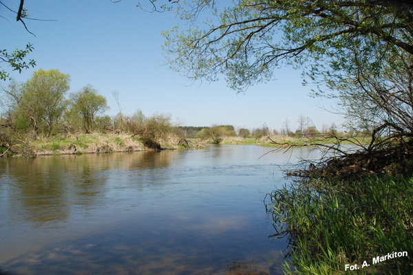 Sobków - Fot. A. Markiton