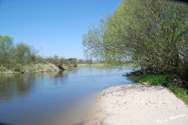 Sobków - Fot. A. Markiton