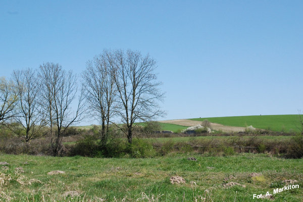 Sobków - Fot. A. Markiton