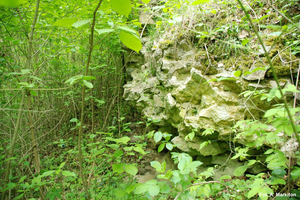 Międzygórz - Zamek - Zamek fundamentowano częściowo na rumoszowej zwietrzelinie skalnej