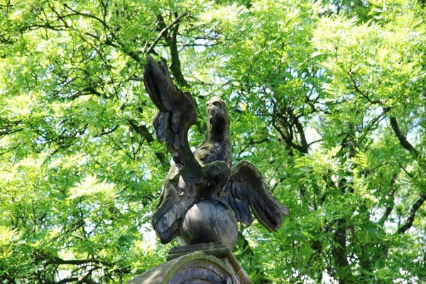 Glorieta w Końskich - Fot. Barbara Jankowska-Piróg