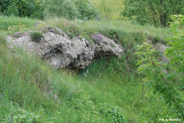 Rezerwat przyrody Góry Wschodnie - Wychodnia gipsowa