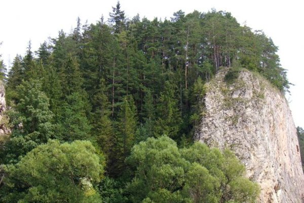 Przełom Białki w Pieninach - Fot. Edyta Ruszkowska