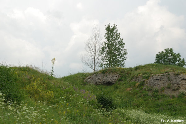 Rezerwat Przyrody Skorocice - Dolina krasowa.