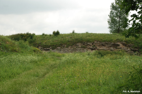 Rezerwat Przyrody Skorocice - Ściana wąwozu.