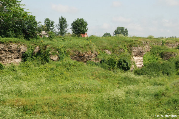 Rezerwat Przyrody Skorocice - Dolina krasowa.