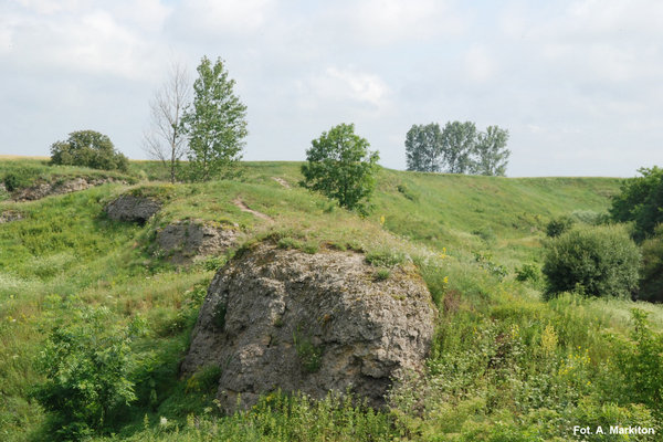 Rezerwat Przyrody Skorocice - Wychodnia skalna.