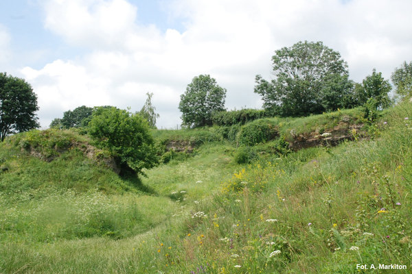 Rezerwat Przyrody Skorocice - Dolina krasowa.