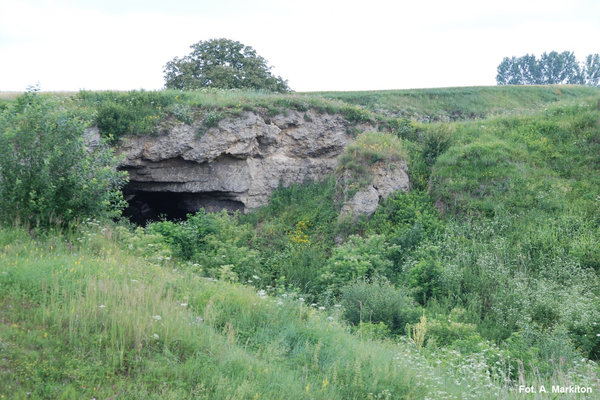 Rezerwat Przyrody Skorocice - Brama skalna.