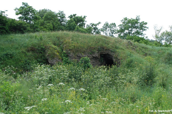 Rezerwat Przyrody Skorocice - Jaskinia Skorocicka.