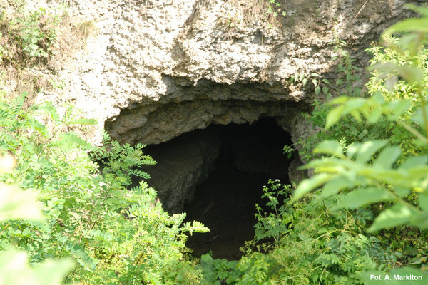 Rezerwat Przyrody Skorocice - Jaskinia Skorocicka od drogi.