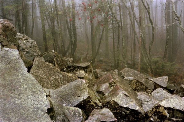 Fotografia artystyczna - Fot. Andrzej Borys