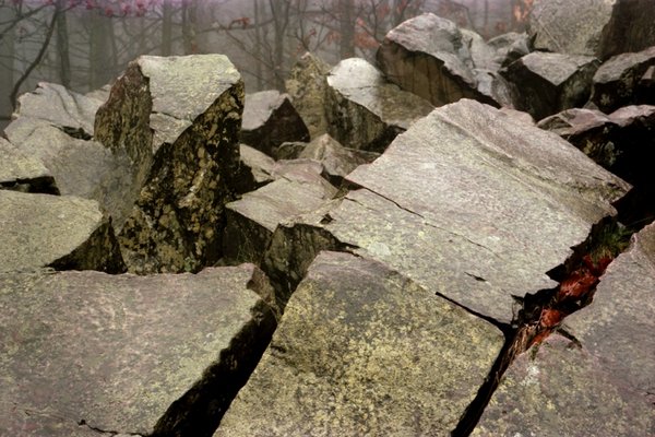 Fotografia artystyczna - Fot. Andrzej Borys