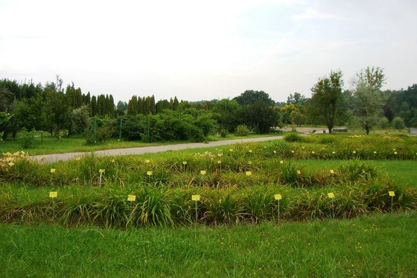 Ogród botaniczny - Fot. Edyta Ruszkowska