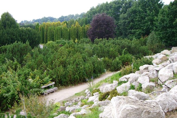 Ogród botaniczny - Fot. Edyta Ruszkowska