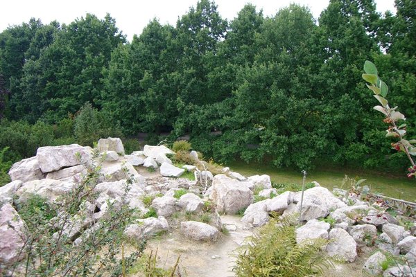 Ogród botaniczny - Fot. Edyta Ruszkowska