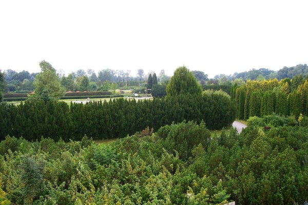 Ogród botaniczny - Fot. Edyta Ruszkowska