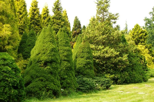 Ogród botaniczny - Fot. Edyta Ruszkowska