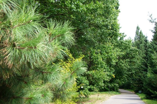 Ogród botaniczny - Fot. Edyta Ruszkowska