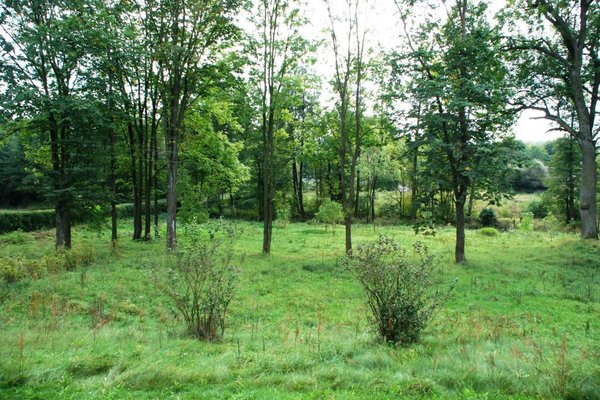 Park otaczający pałac Kołłątajów w Wólce Kłuckiej - Fot. Barbara Jankowska-Piróg