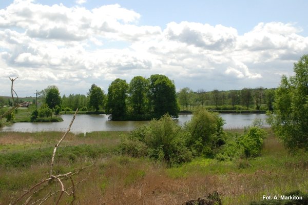 Kościół parafialny w Sancygniowie                          - Widok z kościoła.