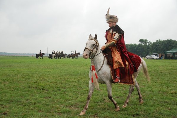 Świętokrzyskie Kraina Pięknych Koni - Michałów 2010
Fot. A. Markiton