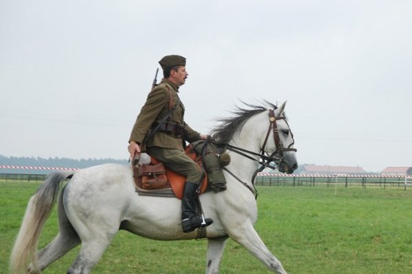 Świętokrzyskie Kraina Pięknych Koni - Michałów 2010
Fot. A. Markiton