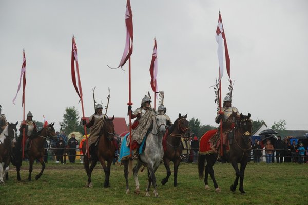 Świętokrzyskie Kraina Pięknych Koni - Michałów 2010
Fot. A. Markiton