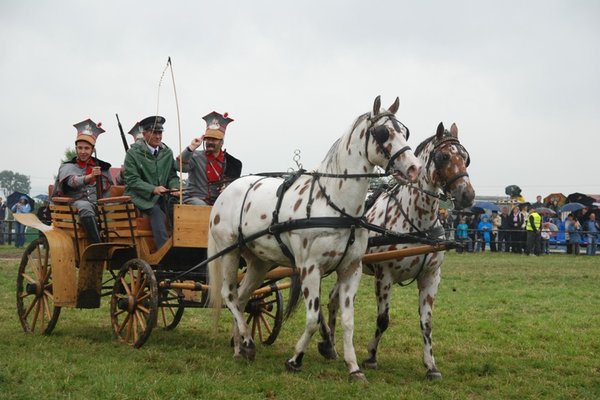 Świętokrzyskie Kraina Pięknych Koni - Michałów 2010
Fot. A. Markiton