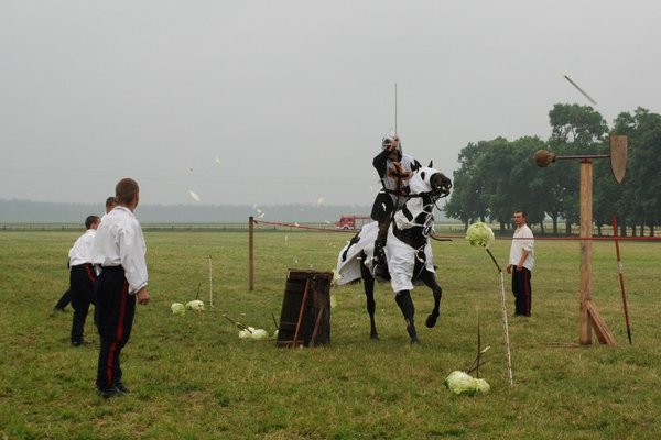 Świętokrzyskie Kraina Pięknych Koni - Michałów 2010
Fot. A. Markiton