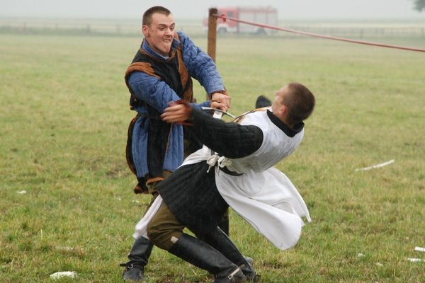 Świętokrzyskie Kraina Pięknych Koni - Michałów 2010
Fot. A. Markiton