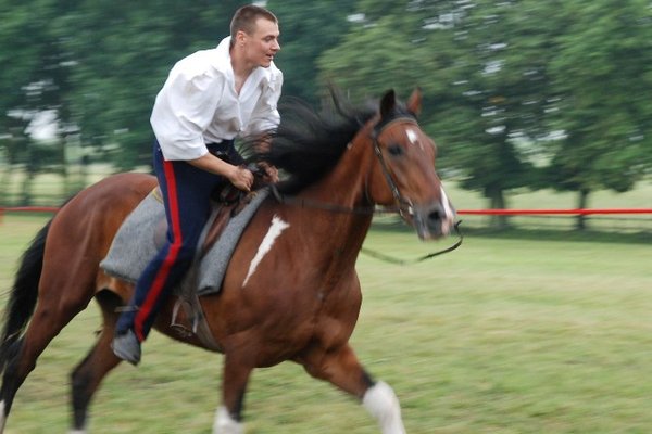 Świętokrzyskie Kraina Pięknych Koni - Michałów 2010
Fot. A. Markiton