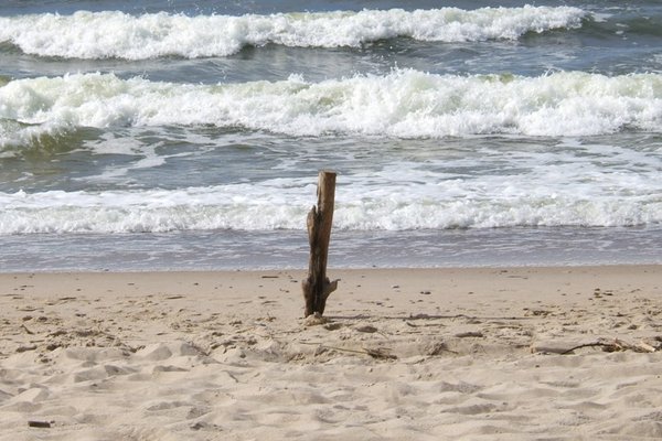 Bałtycka plaża - Fot. Agnieszka Markiton