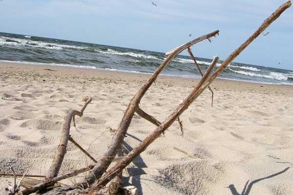 Bałtycka plaża - Fot. Agnieszka Markiton